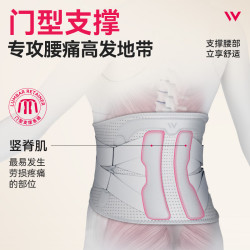 维德 全新4代门型支撑护腰带