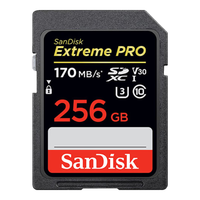  SanDisk/闪迪 读速200M/S SD内存卡