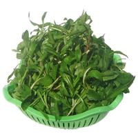  味小仙 新鲜现剪现摘 马兰头 1斤装
