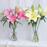 悦多彩 昆明基地直发 香水百合鲜花*10支