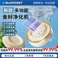 BLAUPUNKT 果蔬清洗机净化清洗机洗水果神器气泡洗菜机
