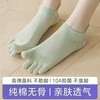 椰子节拍 女士五指袜 纯棉无骨 抗菌防臭 4双装
