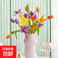 郁金香鲜切花跨晚同款云南鲜花基地直发 郁金香随机色20枝