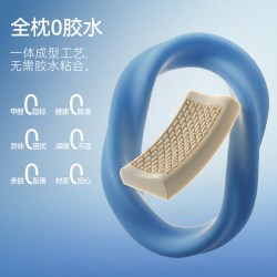 西屋电气 西屋Z6硅胶枕头记忆成人棉护颈椎病助深睡眠