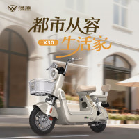 绿源 X30 电动自行车 48V20A 门店自提