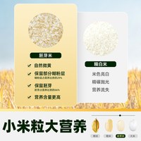 SHI YUE DAO TIAN/十月稻田 保留胚芽 胚芽米