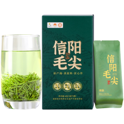 信阳毛尖 板栗香 绿茶 早春品鉴2泡