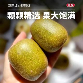  农锦鲜 新鲜 红心猕猴桃