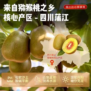  农锦鲜 新鲜 红心猕猴桃