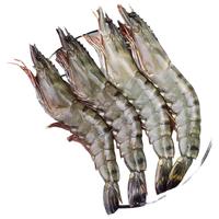  卖鱼郎先生 鲜活速冻 黑虎虾