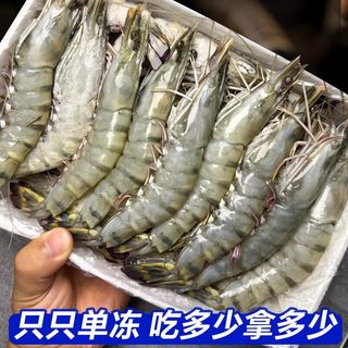  卖鱼郎先生 黑虎虾 19-21cm 1000g