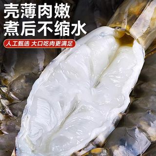  卖鱼郎先生 黑虎虾 19-21cm 1000g