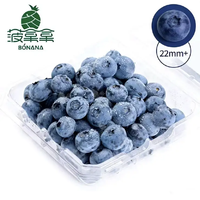 奶油草莓250g+花香蓝莓 22mm+ 125g*2盒