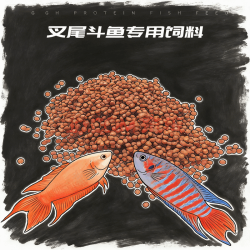 森悠 中国斗鱼饲料虾青素高蛋白上浮小颗粒小型热带鱼粮金鱼普叉鱼食 250g