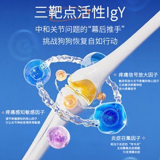  鼎伴 保护骨骼 老年犬狗狗处方粮