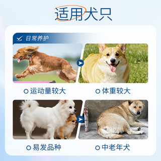  鼎伴 保护骨骼 老年犬狗狗处方粮