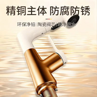 X-GRKE 抽拉 面盆水龙头