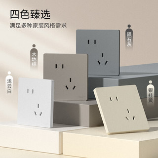  DELIXI/德力西 哑光磨砂 十孔插座