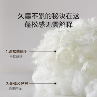  Sleemon/喜临门 悬浮设计 双人床+漾Pro床垫