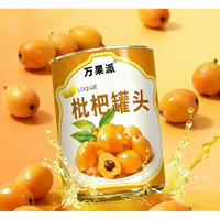 自然道 枇杷罐头 312g*2罐