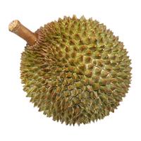 览世 树上熟 黑刺榴莲 【4-4.5斤】一个黑刺D200