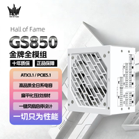 影驰 名人堂GS850金牌全模组850W纯白色ATX3.1原生PCIE5.1电脑电源