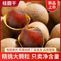 真响嗑 桂圆干 250g*2袋