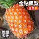  百亿补贴：亿喜农 海南金钻凤梨 750g/个 3斤起　