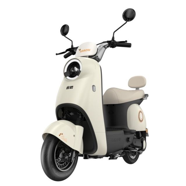 金箭 电动摩托车60V21AH石墨烯电池电动轻便摩托车长续航电动车