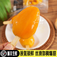 禾人 液氮冷冻锁鲜 小台芒