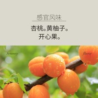  CORONA IRIS ROASTERY 精品手冲 咖啡豆