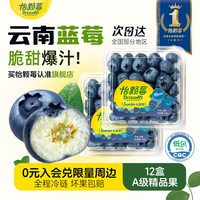 怡颗莓 新鲜当季 蓝莓