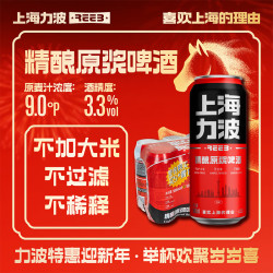 力波啤酒;REEB;R 力波啤酒（REEB）全麦芽精酿原浆红力波500ml*6罐 精酿啤酒