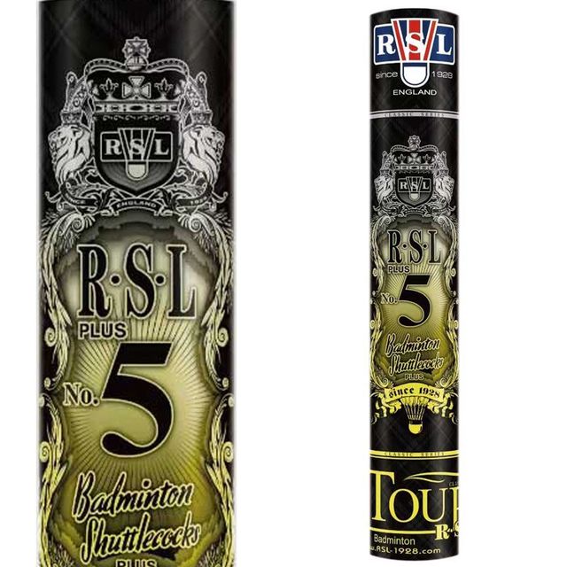 亚狮龙 5号PLUS羽毛球飞行稳定耐打比赛训练球1筒12支装 共两桶