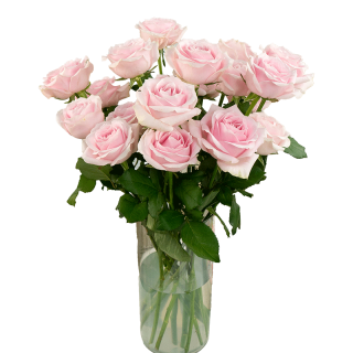 京东鲜花 源头直发 玫瑰花