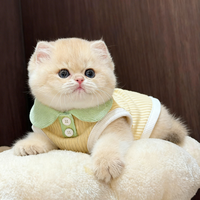 阿莫尔 小猫衣服德文猫防掉毛夏季薄款背心幼猫宠物狗狗衣服2026新款漂亮 洛克黄