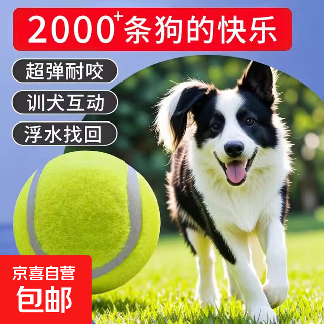 狗狗玩具球边牧柯基金毛逗狗遛狗训犬专用耐咬磨牙小狗宠物狗网球 宠物狗网球-黄色-1个