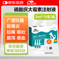 宅小宠 宠物庆大霉素狗狗拉稀猫咪呕吐肠炎宠物消炎抗菌药2ml*10支