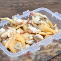  风鲜仓 原汁新鲜 丹东黄蚬子