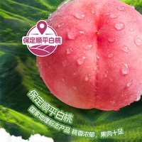  Purjoy/纯享 营养美味 益生菌风味发酵乳 苹果230g*10瓶