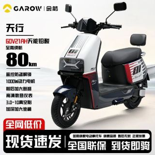 百亿补贴：金箭 天行 电动摩托车 踏板长续航电瓶车 成人通勤代步电动车