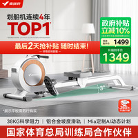 麦瑞克 Q1 磁阻划船机 MRSRM53163 白色 金属 专业款