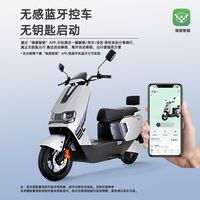  LUYUAN/绿源 长续航 电动摩托车