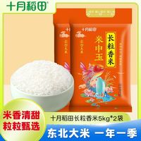 百亿补贴：十月稻田 长粒香米 5kg*2袋 真空包装