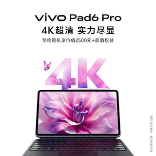 vivo Pad6 Pro 13.2英寸 平板电脑（第五代骁龙8 至尊版、12GB、256GB、WiFi版、自在灰）