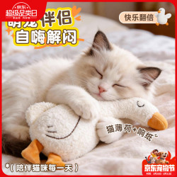 欢宠网 猫玩具猫咪猫薄荷逗猫磨牙棒自嗨解闷神器自己玩猫猫小猫幼猫宠物