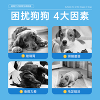 移动端、京东百亿补贴：凡可奇 小欢心狗粮牛肉益生元冻干六拼成幼犬小中大型通用狗狗粮10kg