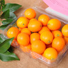  桃李村 新鲜 小金桔 2500g