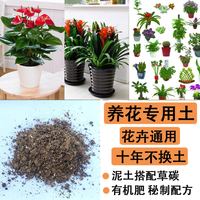  朗诗尼 天然有机 营养土