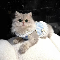 阿莫尔 猫咪衣服薄款背心防掉毛布偶猫德文猫宠物狗狗衣服四季通用新款 蓝格背心